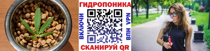 даркнет официальный сайт  цена   Старая Купавна  Cannafood конопля 