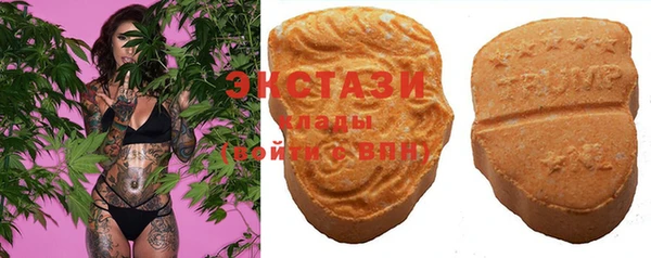 шишки Арсеньев