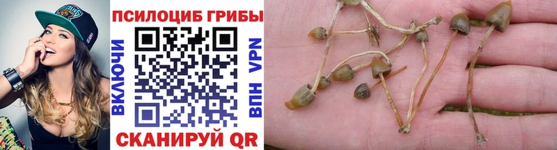 Псилоцибиновые грибы прущие грибы  купить   Старая Купавна 
